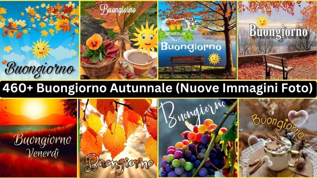 460+ Buongiorno Autunnale (nuove Immagini Foto)