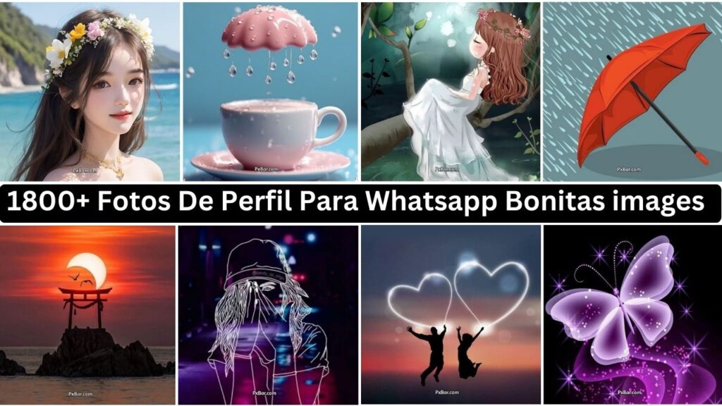 1800+ Fotos De Perfil Para Whatsapp Bonitas Images